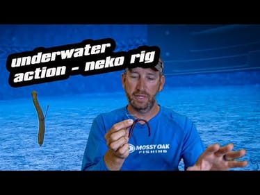 Ott’s Garage | Pool Test | Neko