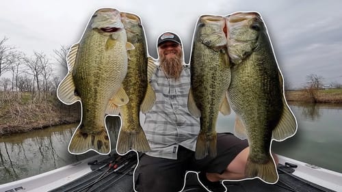 I Have Never Caught This Many Bass