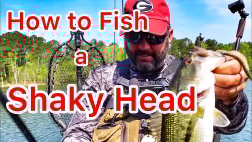 How to Fish a Shaky Head - Bass Fishing