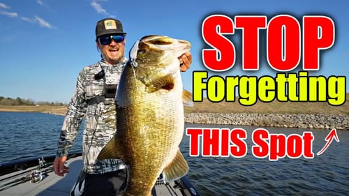 95% of Fisherman PASS UP the Most Consistent Spot to Catch GIANT Bass