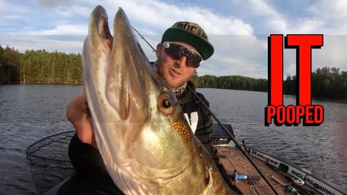 PB Musky for Trevor!  Defiant 210 Swimbait