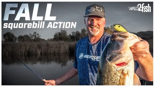 3 Fall Squarebill Crankbait Bass Fishing Tips