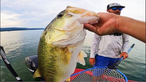 Fishing LAKE GUNTERSVILLE for the BIGGUNS! (Ledge Fishing)