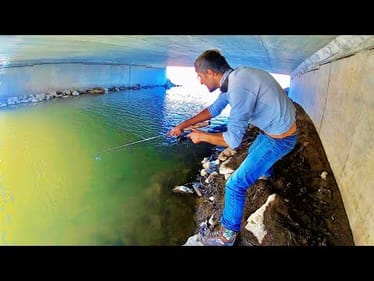WE FOUND MONSTER FISH in this TINY CREEK!!