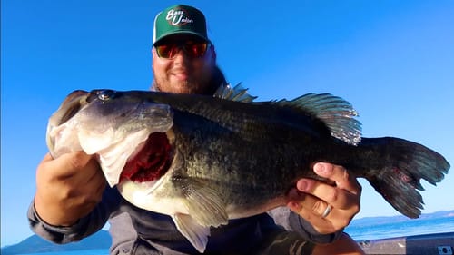 EPIC Clearlake Summer Frog & Offshore Jig Fishing/Truck Camping Trip ft. Bearded Bassin
