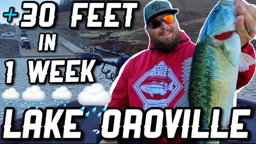 Lake Oroville Up 30 Feet In 1 Week From Major Storm!!! | ALMOST On Concrete At Bidwell Ramp