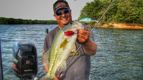 How to Catch Post Spawn Bass Off the Bank