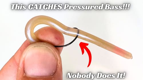 This Finesse Presentation Catches Heavily Pressured Bass!