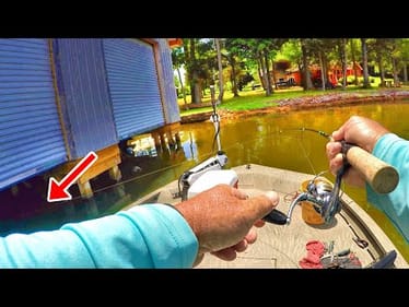 Catfish Are Delicious! How I Caught 100lbs Easy!