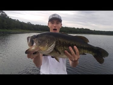 NEW Small Rat Catches HUGE Fish!