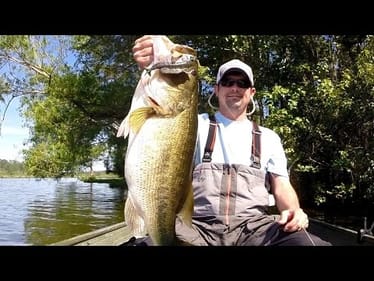 10 Pound Bass Crushes a Bluegill - Bass Fishing with the Ultimate Bluegill Swimbait.