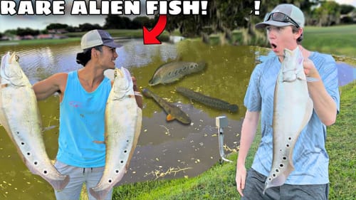 CATCHING RAREST FISH in The POND! (Alien Fish)