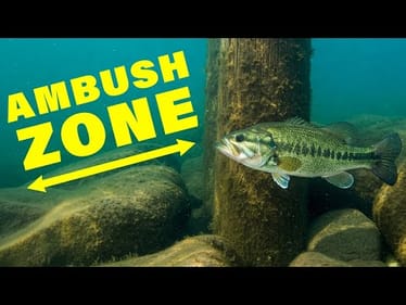 Where Are Bass Hiding?!? How to Locate Fish & Get Bites
