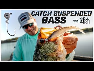 How to Catch Suspended Bass on Jig and Minnow Plastics
