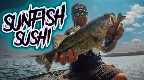 Sight Fishing CRYSTAL CLEAR WATER With BLUEGILL SWIMBAITS! Sunfish Make Bass So Mad In The Summer!