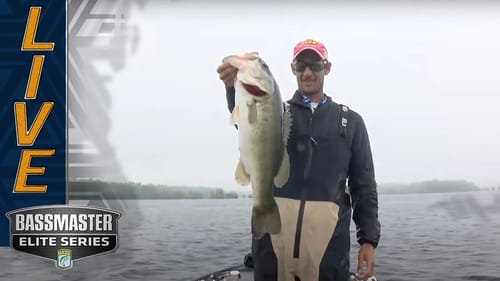 SANTEE COOPER: Cobb boasts a big one off a tree
