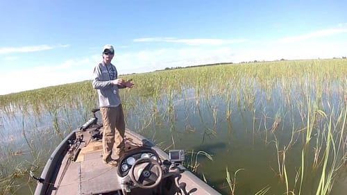 7lbs Jigzilla Quickie