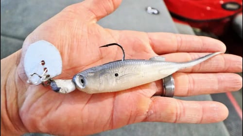 The BEST Lure For SCHOOLING FISH??? (BIG BASS on Jerky J)
