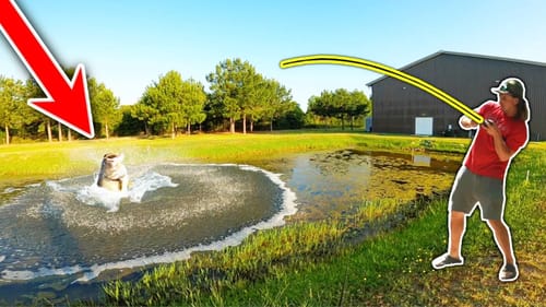 Urban POND HOPPING Adventure Ends with $3,000 Surprise!!