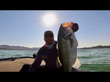 HEAVY BASS - Light Line. Summertime Fishing Madness!!