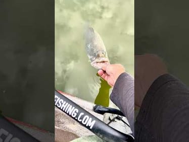 Catching FREAKS… and Setting Them Free 🔥