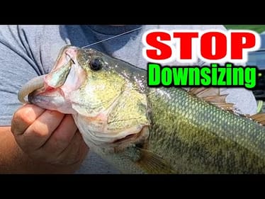 Why Downsizing Fails in Tough Conditions (Try THIS Instead!)