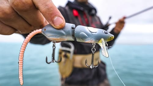 RAT LURE stuns saltwater fish - IT DOES SOMETHING DIFFERENT