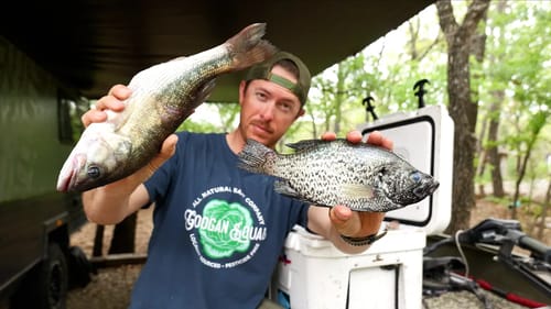 Crappie vs Bass Catch Clean & Cook