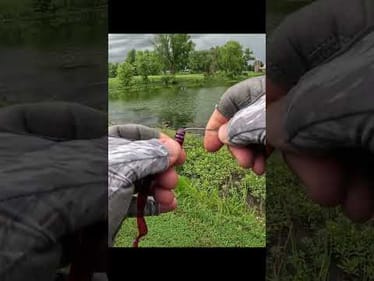 How-To Texas-Rig a Ribbon Tail Worm  #fishing #howto #shorts #rigging