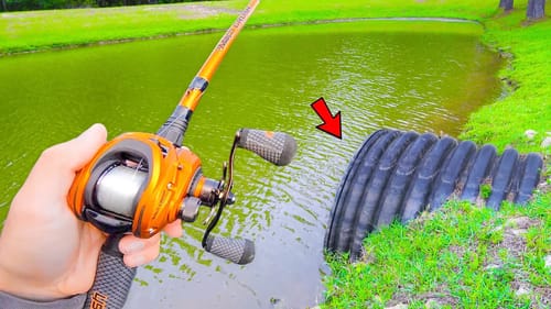 Catching GIANT Bass in SMALL Ponds (Bed Fishing)