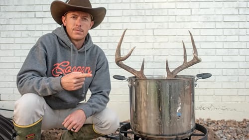 Something STOLE My Deer Head Last Night!