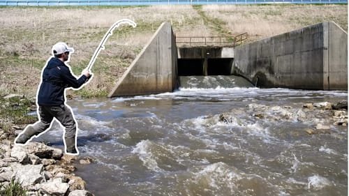 Big Fish Beneath the Spillway!!!