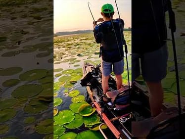 You Should Be Fishing The Punch Rig Right Now 🔥