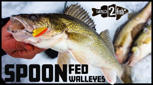 3 Tips for Ice Fishing Walleyes with Flutter Spoons