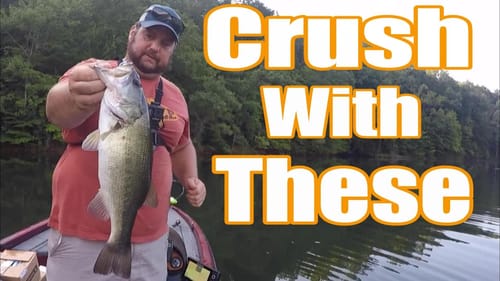 Stock Up On These Baits NOW!
