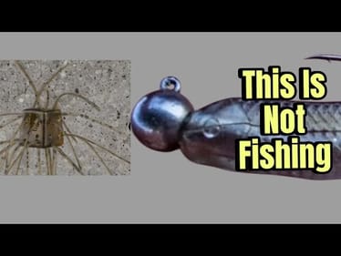 Why Anglers Who Use Fuzzy Dice And FFS Minnows Should Be Ashamed…