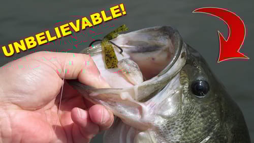 Texas Rig for BIG Bass | Bass Fishing