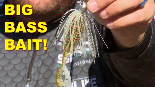 How To Fish A Chatterbait In The Spring with Michael Neal | Bass Fishing