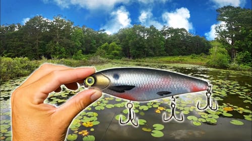 VICIOUS Topwater Blowups from SAVAGE Fish in the Pads!