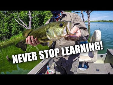 Post Spawn Bass Fishing (He's Still Teaching Me!)