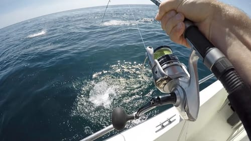 Best Topwater Fishing Explosions