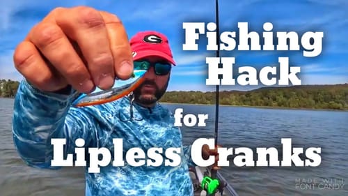 Fishing Hack to Keep Your Lipless Crankbait from Getting Snagged