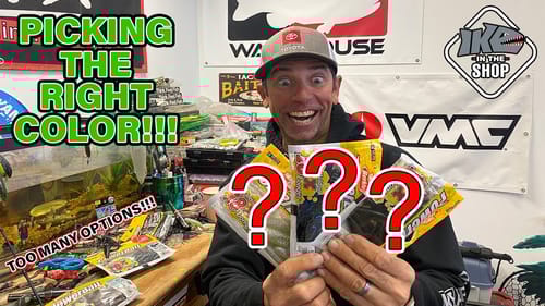 Mastering Soft Plastic Bait Selection: The Ultimate Guide to Choosing Colors That Catch Fish
