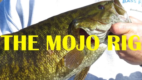 The Mojo Rig (Split Shot Rig) | How To | Bass Fishing