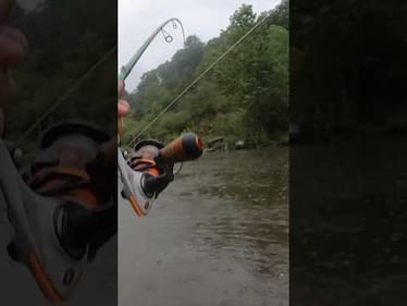 Do You Know This Fishing Trick?
