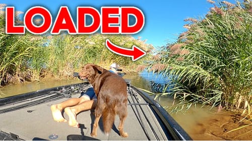 Catching Fish EVERY CAST in ULTRA-SHALLOW Backwater!! (Insane Topwater)