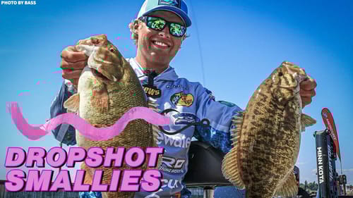 Bassmaster's Dropshot Rig for Smallmouth Bass: Fishing Efficiency & Make Fish Bite