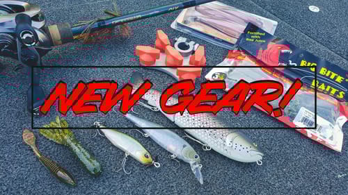 Early Fall Bass Fishing Buyer's Guide
