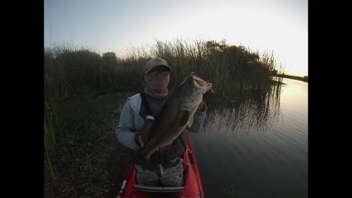 Topwater Bassin