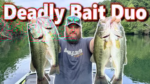 Unstoppable Bass Action: Deadly Bait Duo Dominates